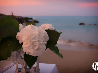 Matrimonio di Leo e Piera - Linda Piccolo - www.lindapiccolo.com